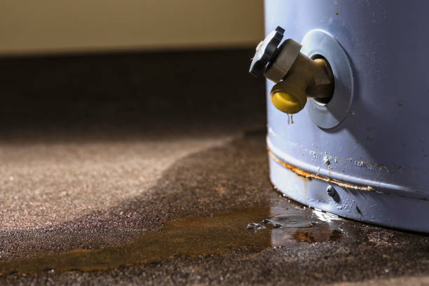 Best Emergency water damage restoration  in Denver, IA