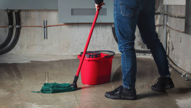 Best Flood damage cleanup  in Denver, IA
