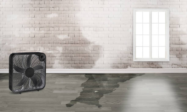 24/7 water damage repair in Denver, IA
